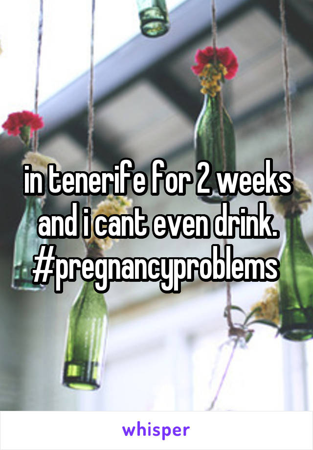 in tenerife for 2 weeks and i cant even drink. #pregnancyproblems 