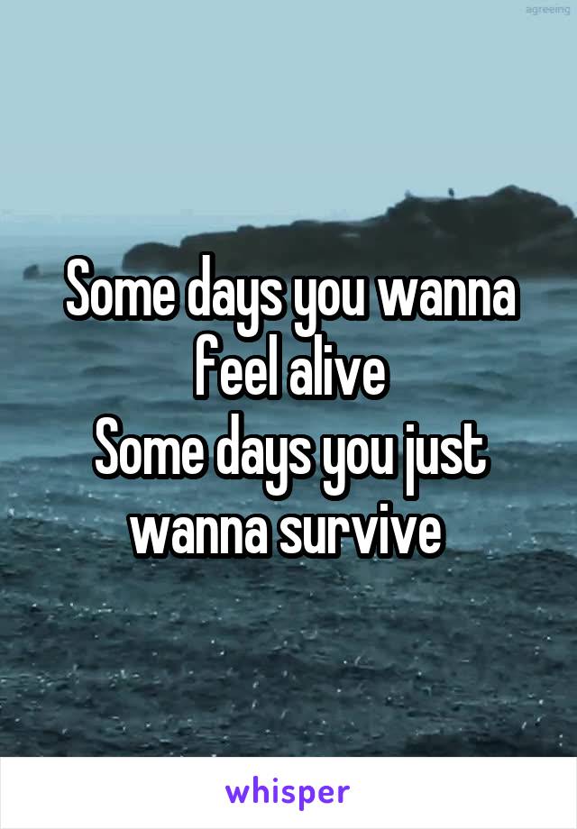 Some days you wanna feel alive
Some days you just wanna survive 