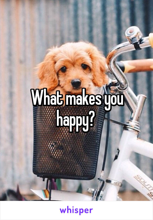 What makes you happy? 