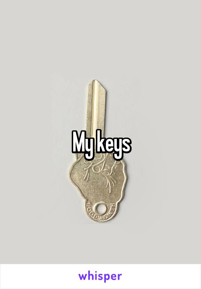 My keys