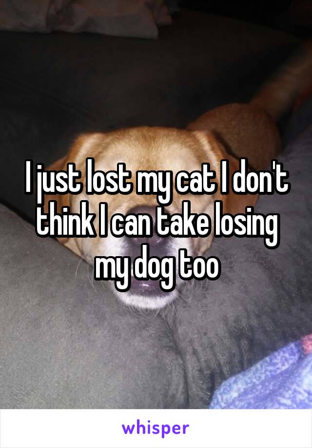 I just lost my cat I don't think I can take losing my dog too