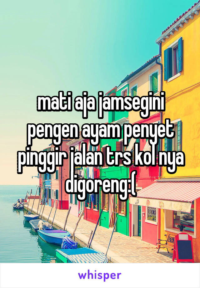 mati aja jamsegini pengen ayam penyet pinggir jalan trs kol nya digoreng:(