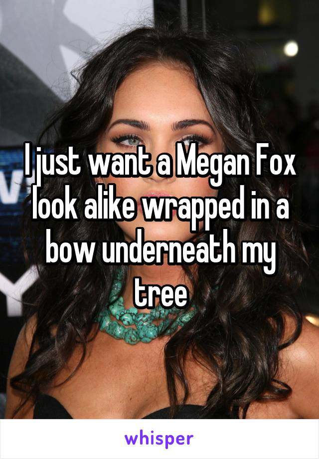 I just want a Megan Fox look alike wrapped in a bow underneath my tree