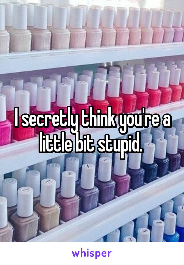 I secretly think you're a little bit stupid. 