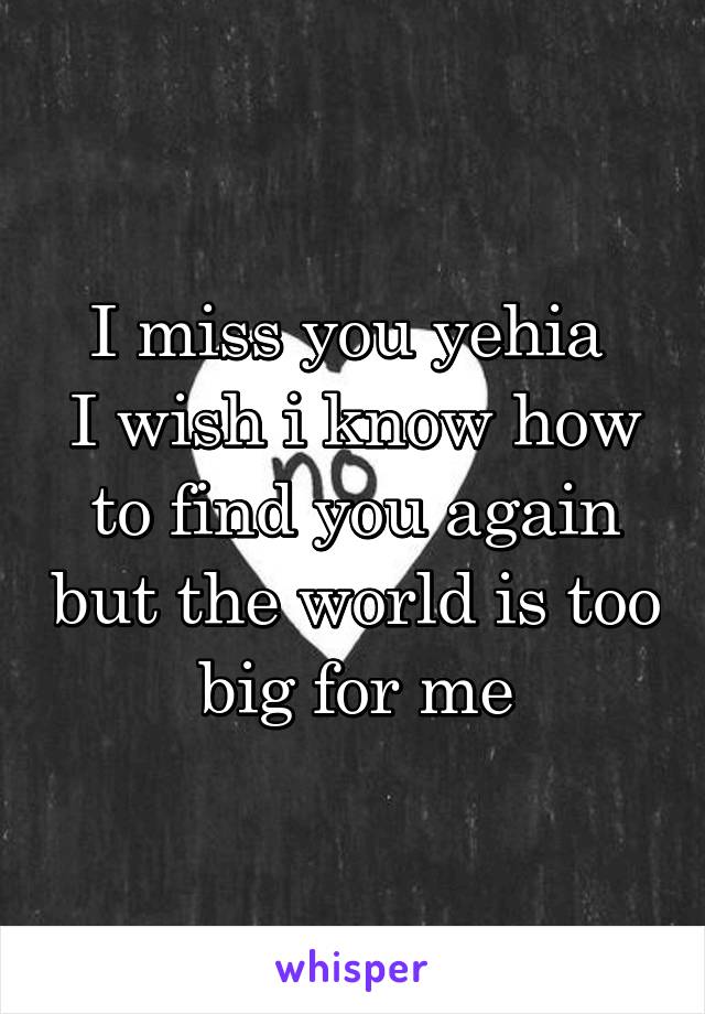 I miss you yehia 
I wish i know how to find you again but the world is too big for me