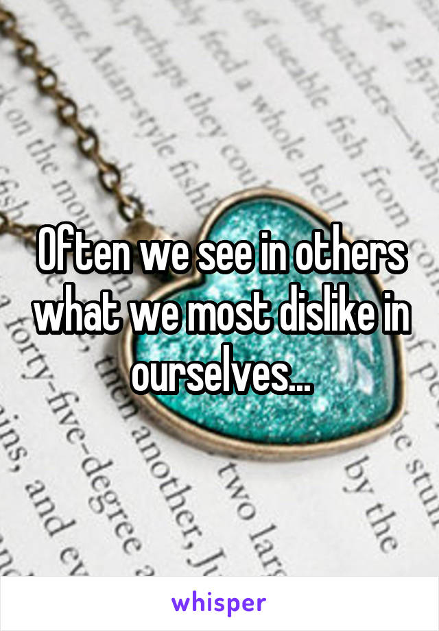 Often we see in others what we most dislike in ourselves...