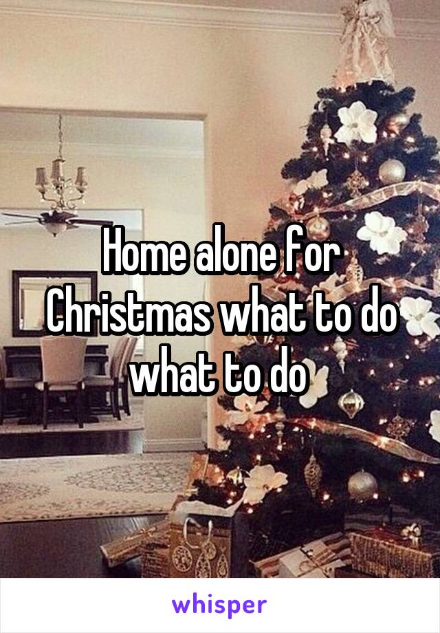 Home alone for Christmas what to do what to do 