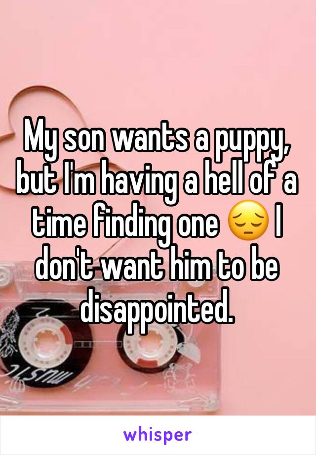 My son wants a puppy, but I'm having a hell of a time finding one 😔 I don't want him to be disappointed.