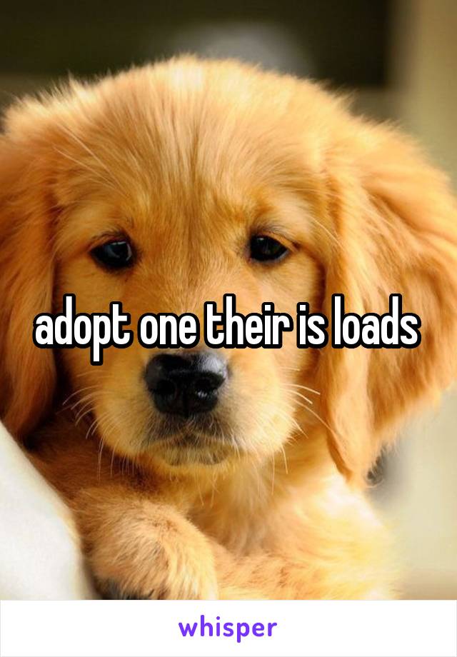 adopt one their is loads 