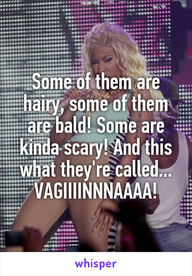 Some of them are hairy, some of them are bald! Some are kinda scary! And this what they're called...
VAGIIIINNNAAAA!