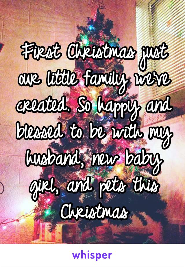 First Christmas just our little family we've created. So happy and blessed to be with my husband, new baby girl, and pets this Christmas