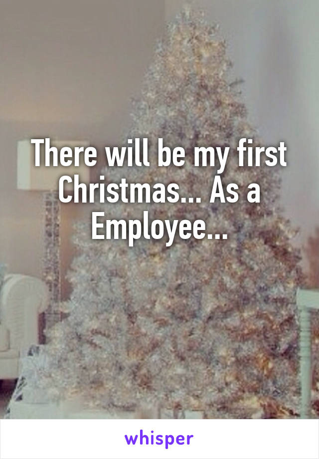 There will be my first Christmas... As a Employee...

