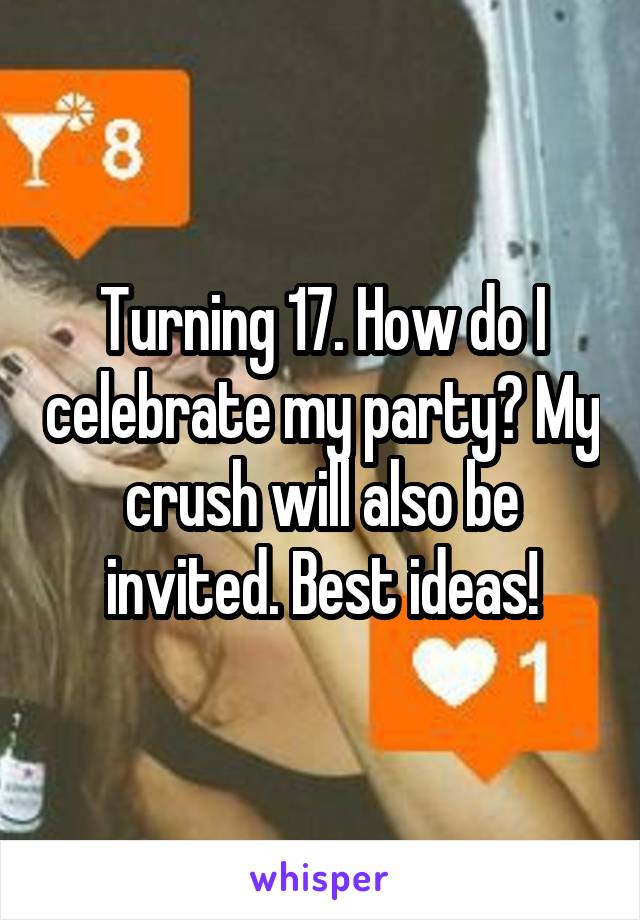 Turning 17. How do I celebrate my party? My crush will also be invited. Best ideas!