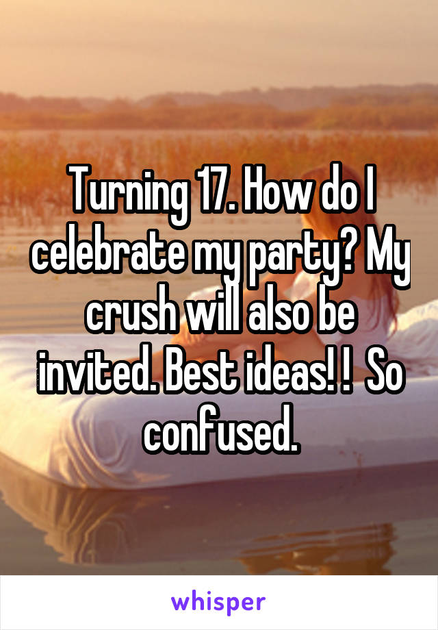 Turning 17. How do I celebrate my party? My crush will also be invited. Best ideas! !  So confused.