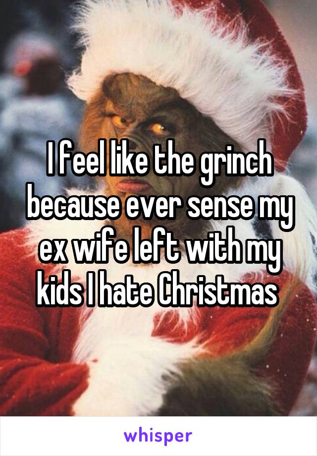 I feel like the grinch because ever sense my ex wife left with my kids I hate Christmas 