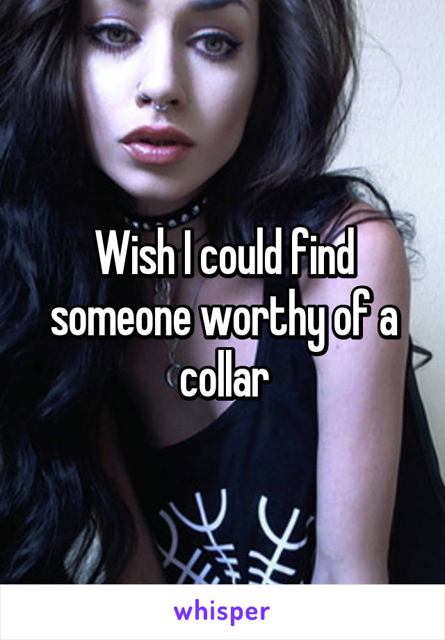 Wish I could find someone worthy of a collar