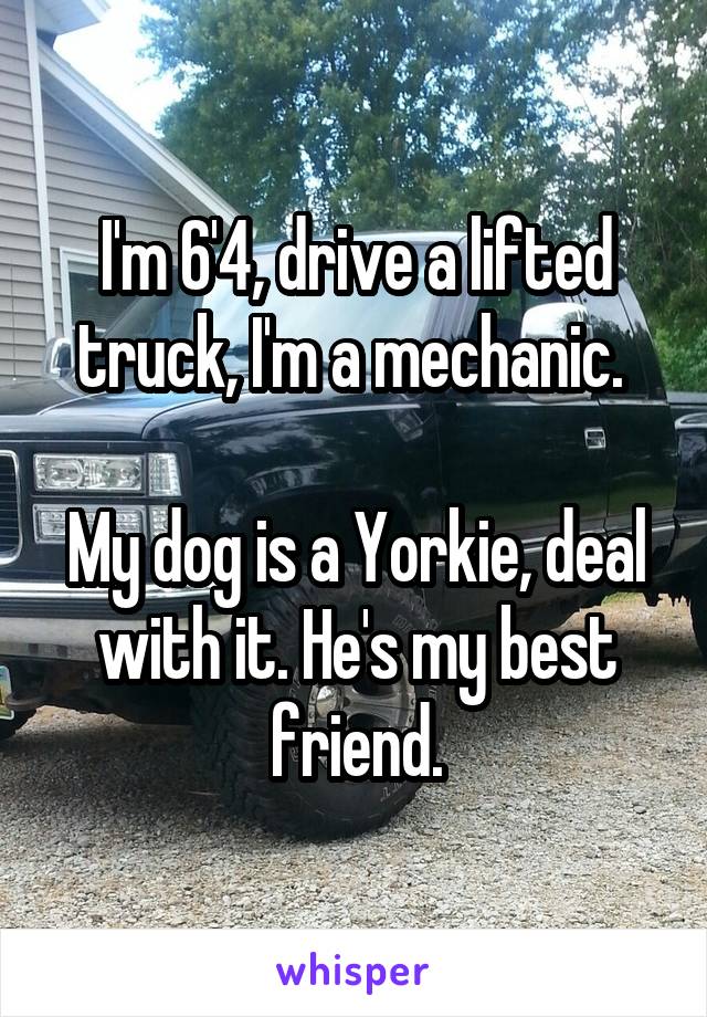 I'm 6'4, drive a lifted truck, I'm a mechanic. 

My dog is a Yorkie, deal with it. He's my best friend.