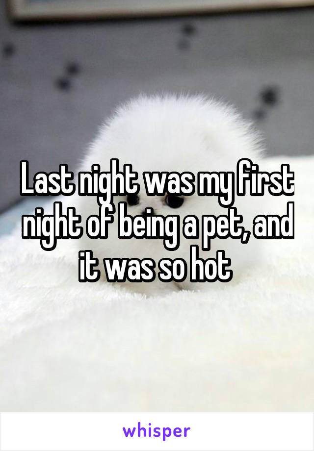 Last night was my first night of being a pet, and it was so hot 