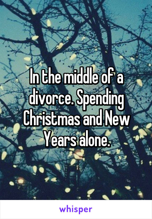 In the middle of a divorce. Spending Christmas and New Years alone.