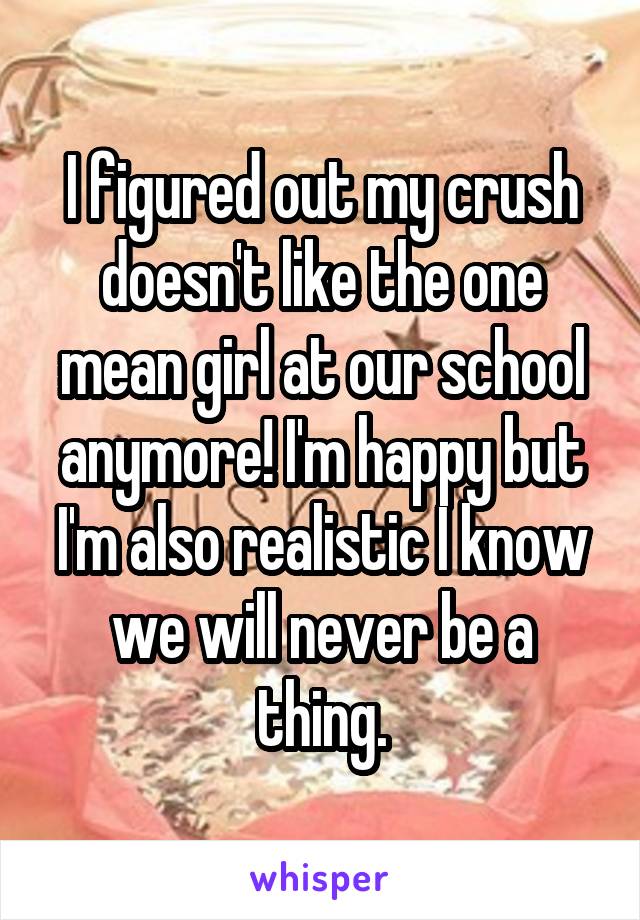 I figured out my crush doesn't like the one mean girl at our school anymore! I'm happy but I'm also realistic I know we will never be a thing.