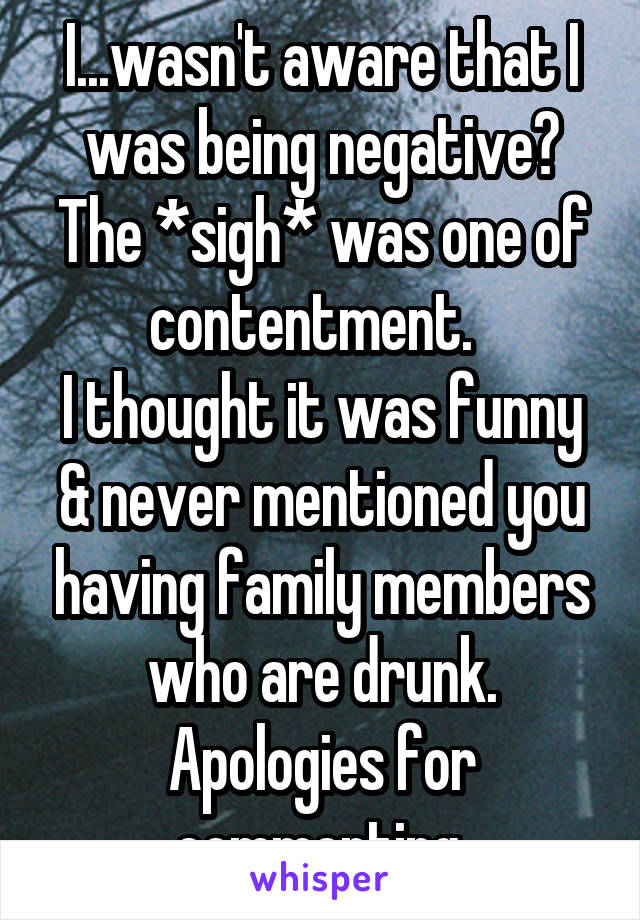 I...wasn't aware that I was being negative?
The *sigh* was one of contentment.  
I thought it was funny & never mentioned you having family members who are drunk.
Apologies for commenting.