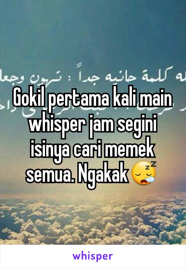 Gokil pertama kali main whisper jam segini isinya cari memek semua. Ngakak😪