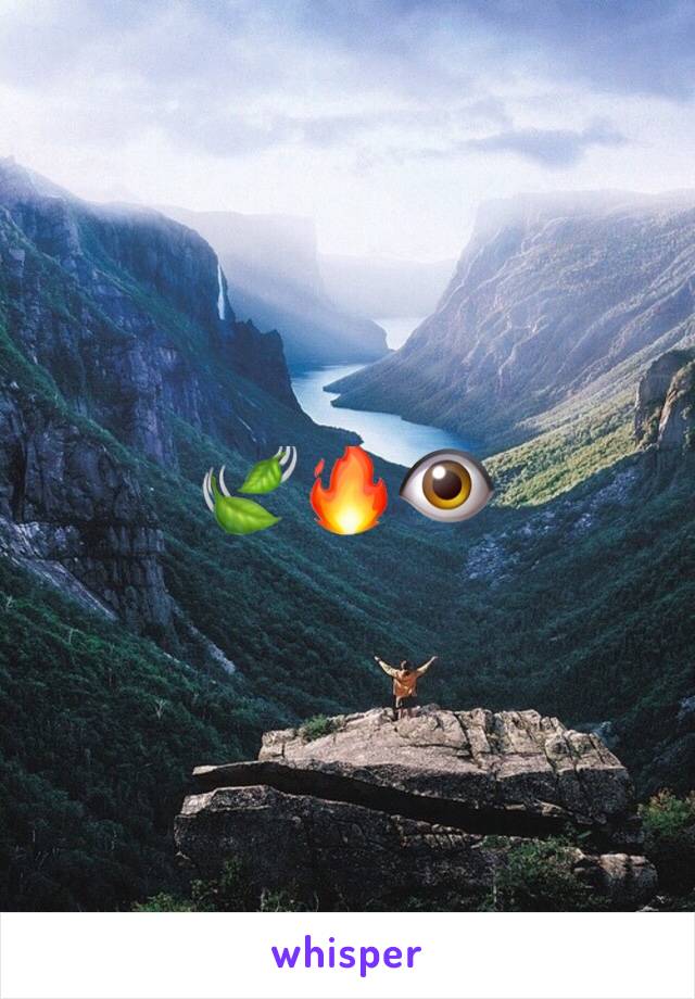 🍃🔥👁