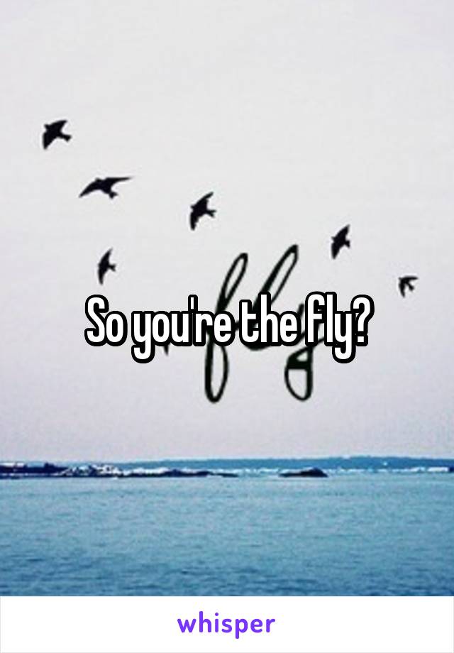 So you're the fly?