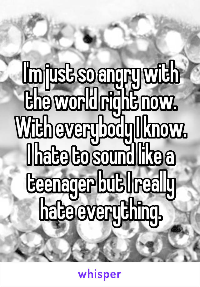 I'm just so angry with the world right now. With everybody I know. I hate to sound like a teenager but I really hate everything.