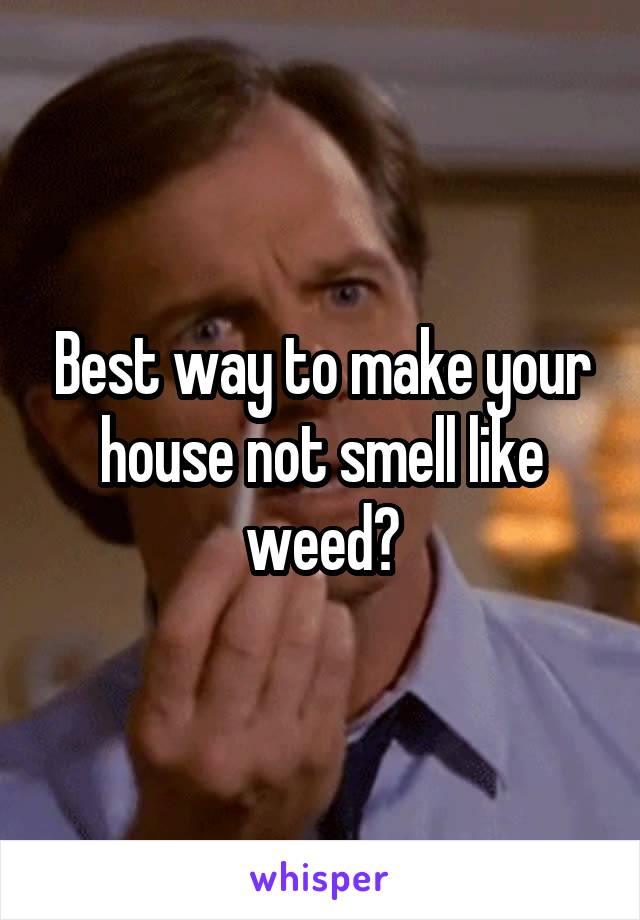 Best way to make your house not smell like weed?