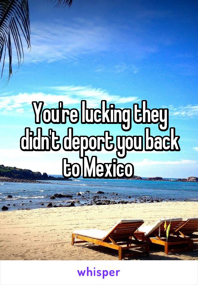 You're lucking they didn't deport you back to Mexico 