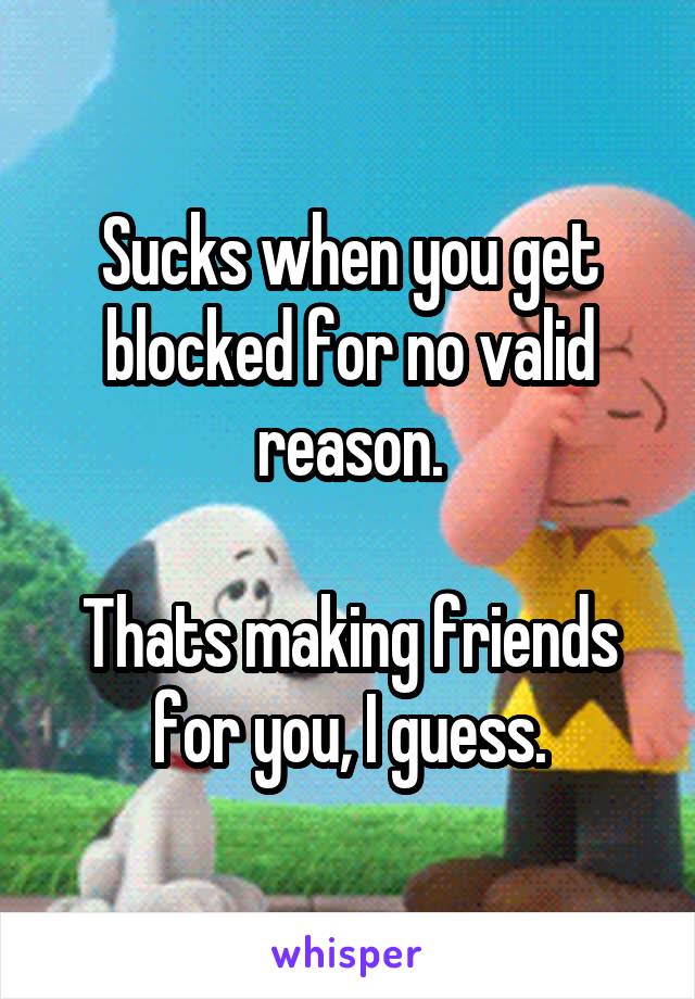 Sucks when you get blocked for no valid reason.

Thats making friends for you, I guess.