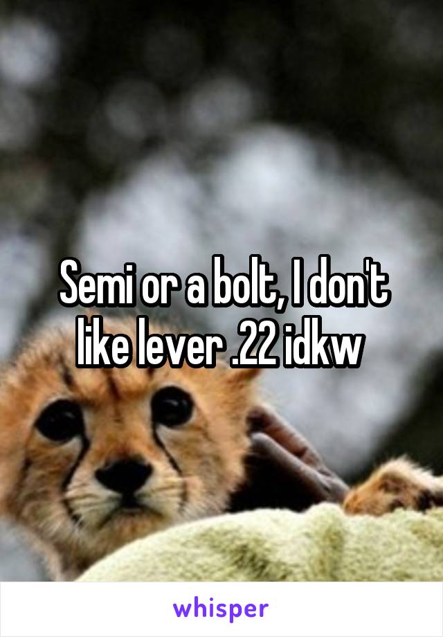 Semi or a bolt, I don't like lever .22 idkw 