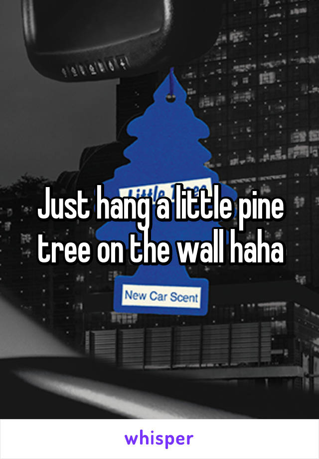 Just hang a little pine tree on the wall haha