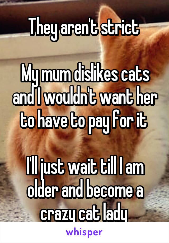 They aren't strict 

My mum dislikes cats and I wouldn't want her to have to pay for it 

I'll just wait till I am older and become a crazy cat lady 