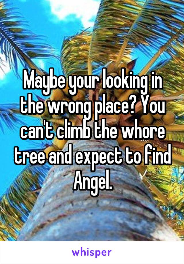 Maybe your looking in the wrong place? You can't climb the whore tree and expect to find Angel.