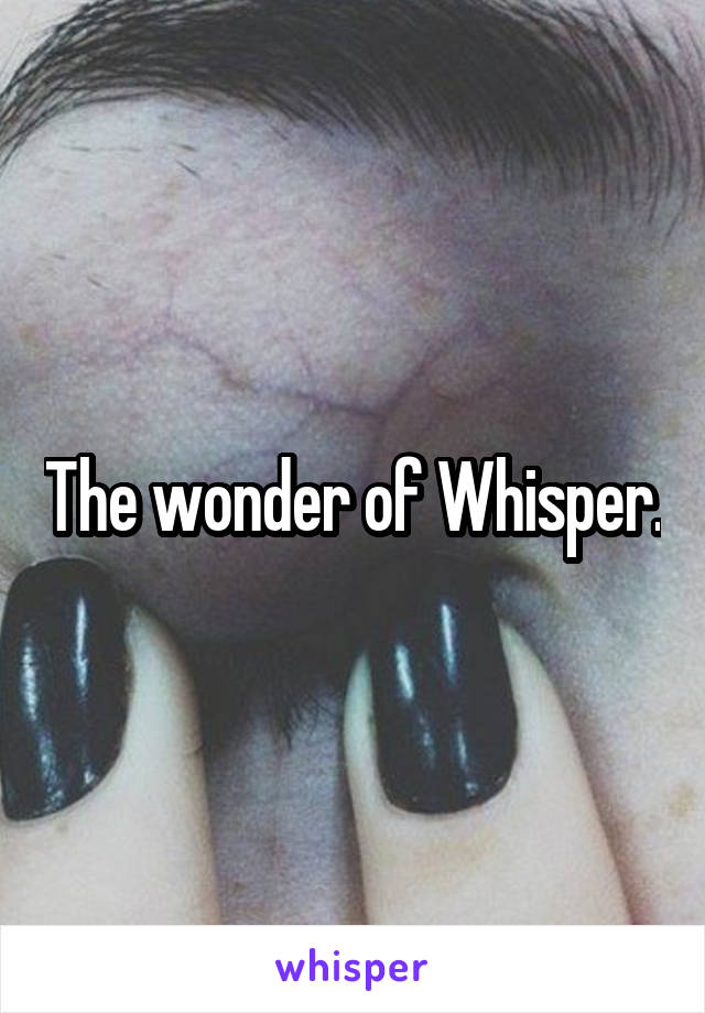 The wonder of Whisper.