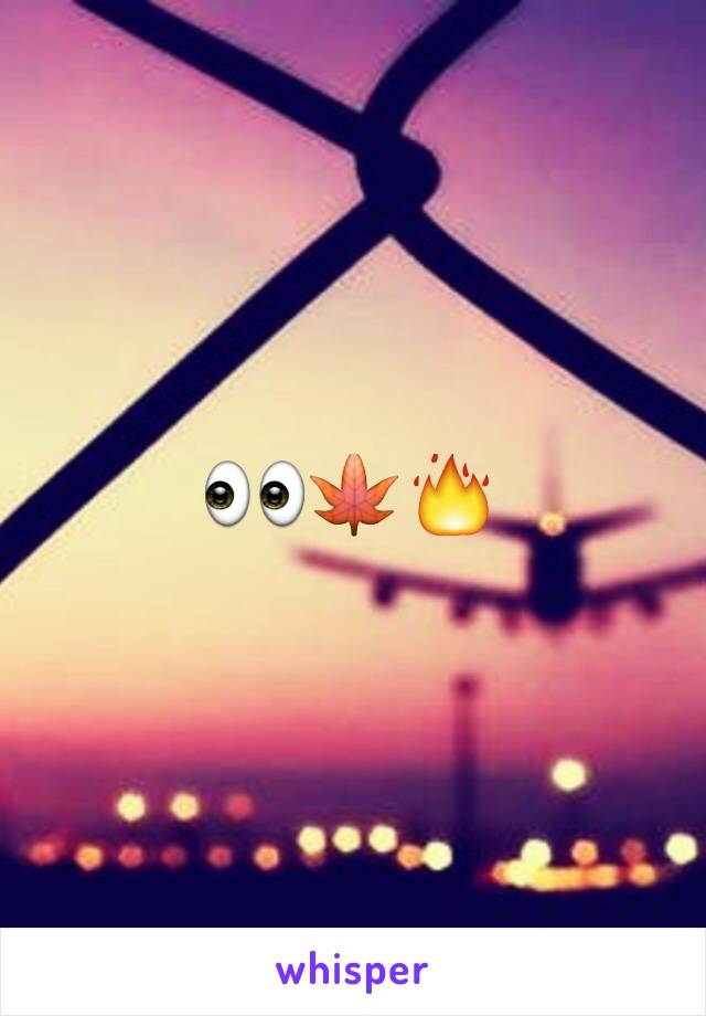 👀🍁🔥