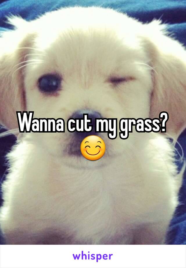 Wanna cut my grass? 😊