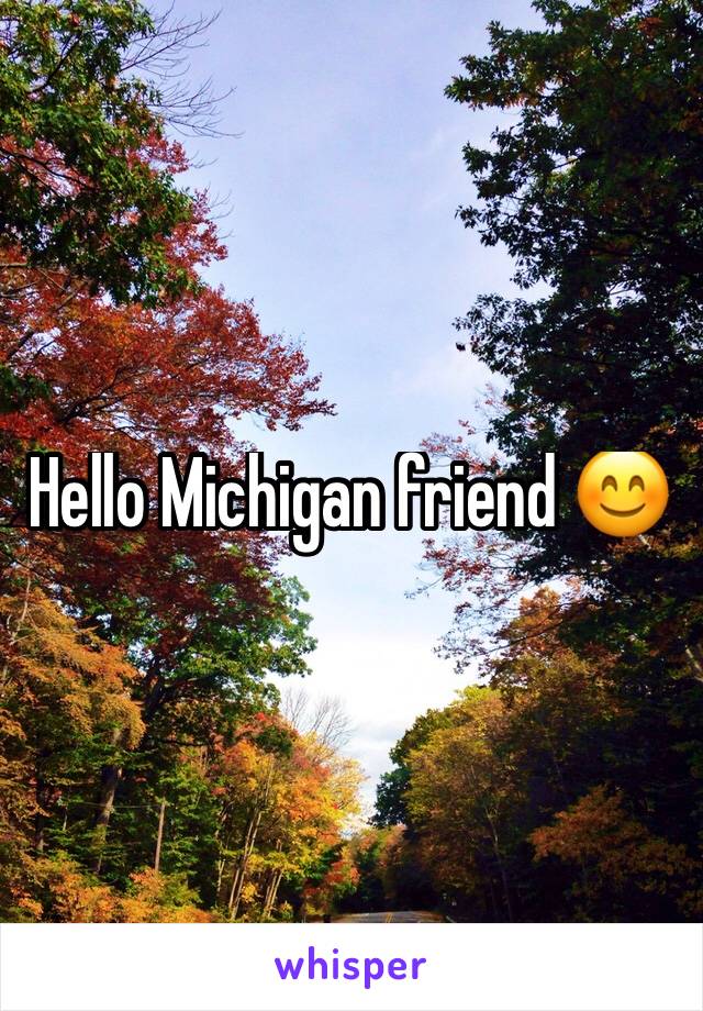 Hello Michigan friend 😊