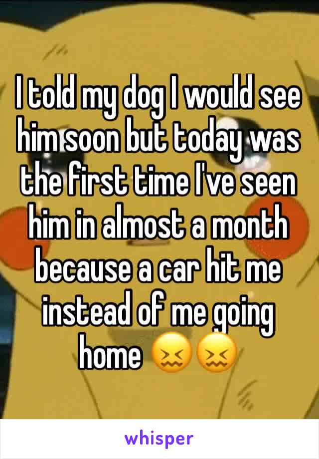 I told my dog I would see him soon but today was the first time I've seen him in almost a month because a car hit me instead of me going home 😖😖