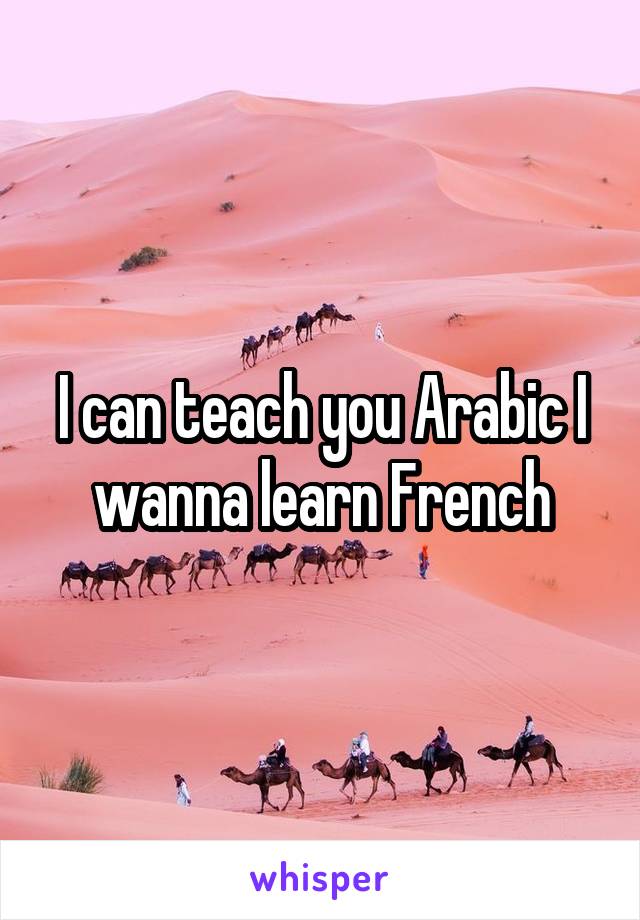 I can teach you Arabic I wanna learn French