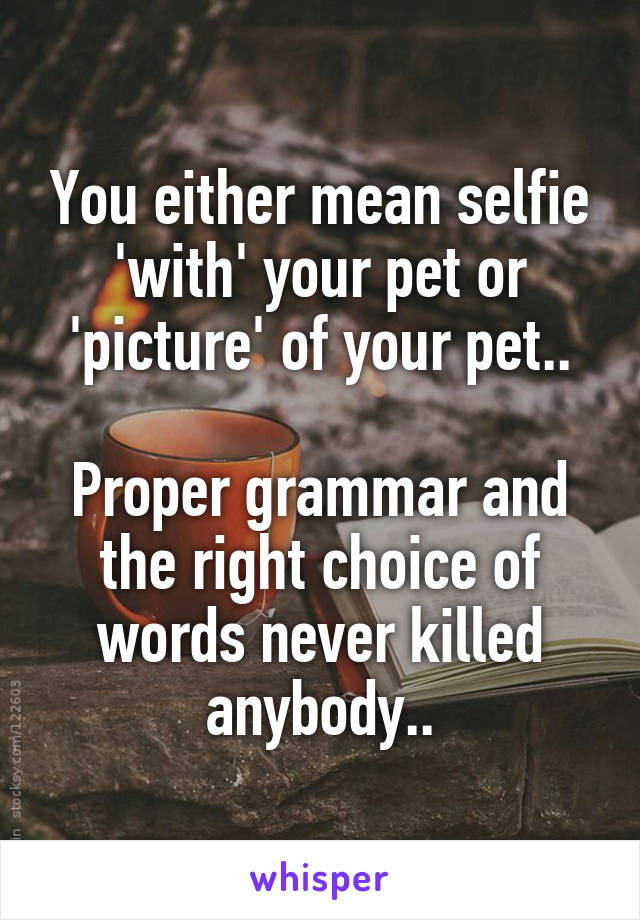 You either mean selfie 'with' your pet or 'picture' of your pet..

Proper grammar and the right choice of words never killed anybody..