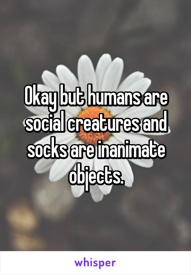 Okay but humans are social creatures and socks are inanimate objects.