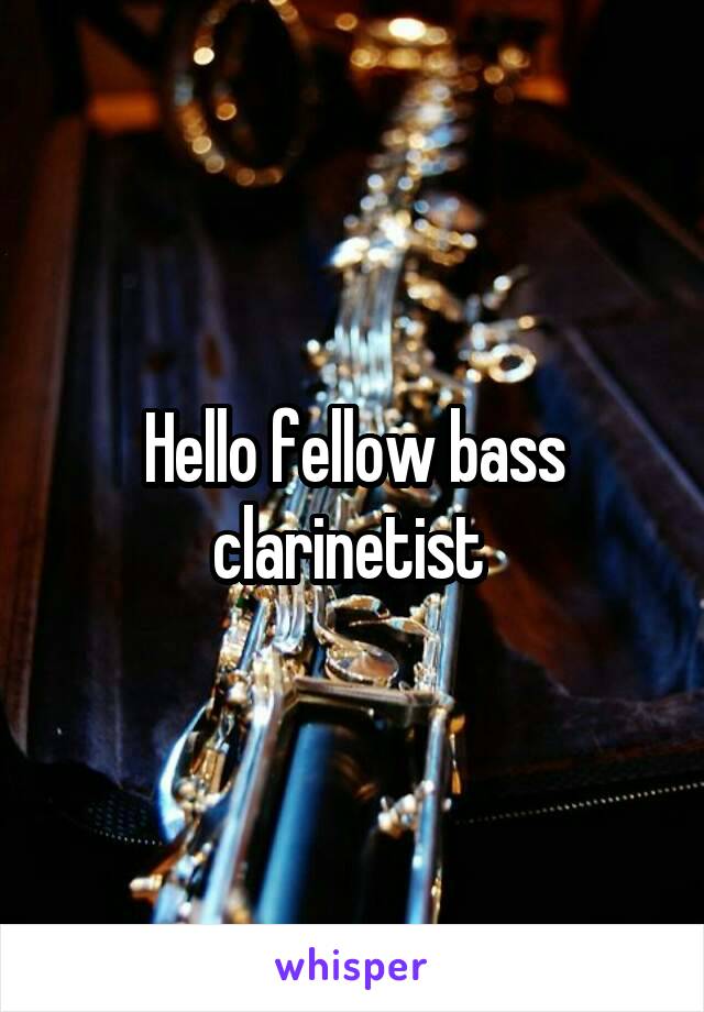 Hello fellow bass clarinetist 