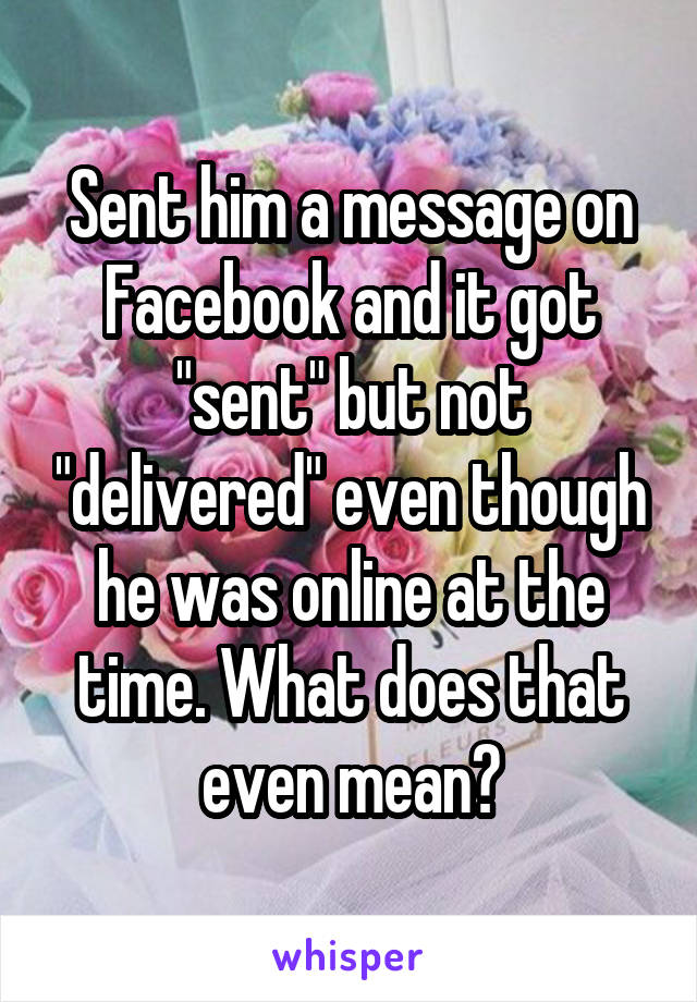 Sent him a message on Facebook and it got "sent" but not "delivered" even though he was online at the time. What does that even mean?