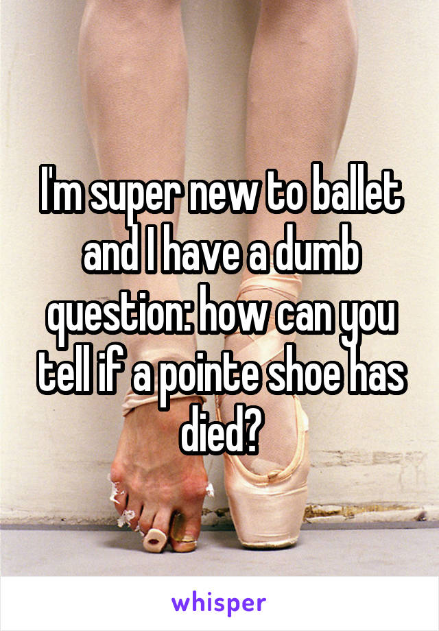 I'm super new to ballet and I have a dumb question: how can you tell if a pointe shoe has died?