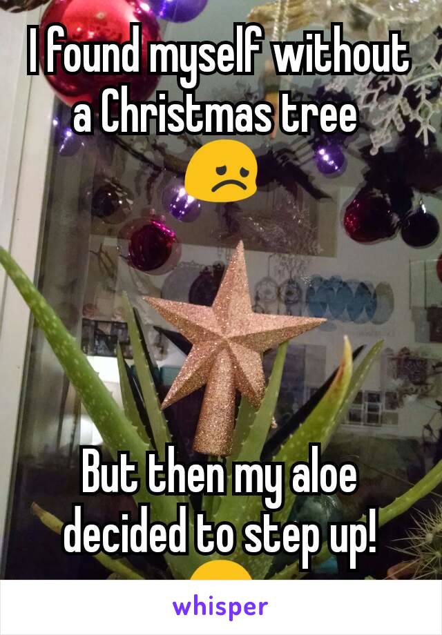 I found myself without a Christmas tree 
😞




But then my aloe decided to step up! 😃