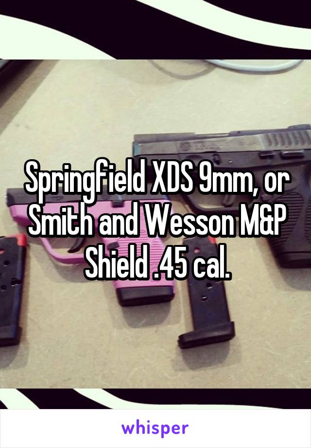 Springfield XDS 9mm, or Smith and Wesson M&P Shield .45 cal.