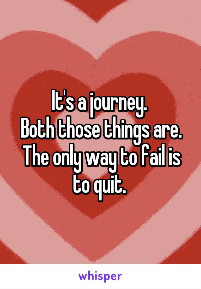 It's a journey. 
Both those things are. The only way to fail is to quit. 